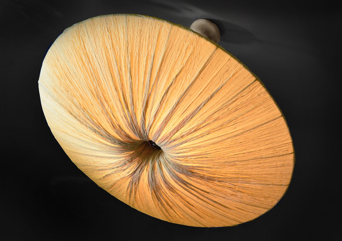 Avatar Mushroom - Luminaire Plafonnier